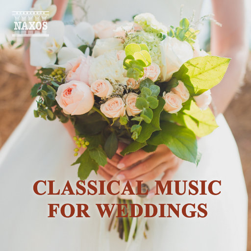 直男打飞机在线播放
